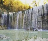 biodiversità
