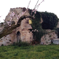 CHIESA S. ANGELO IN MONTILIANO